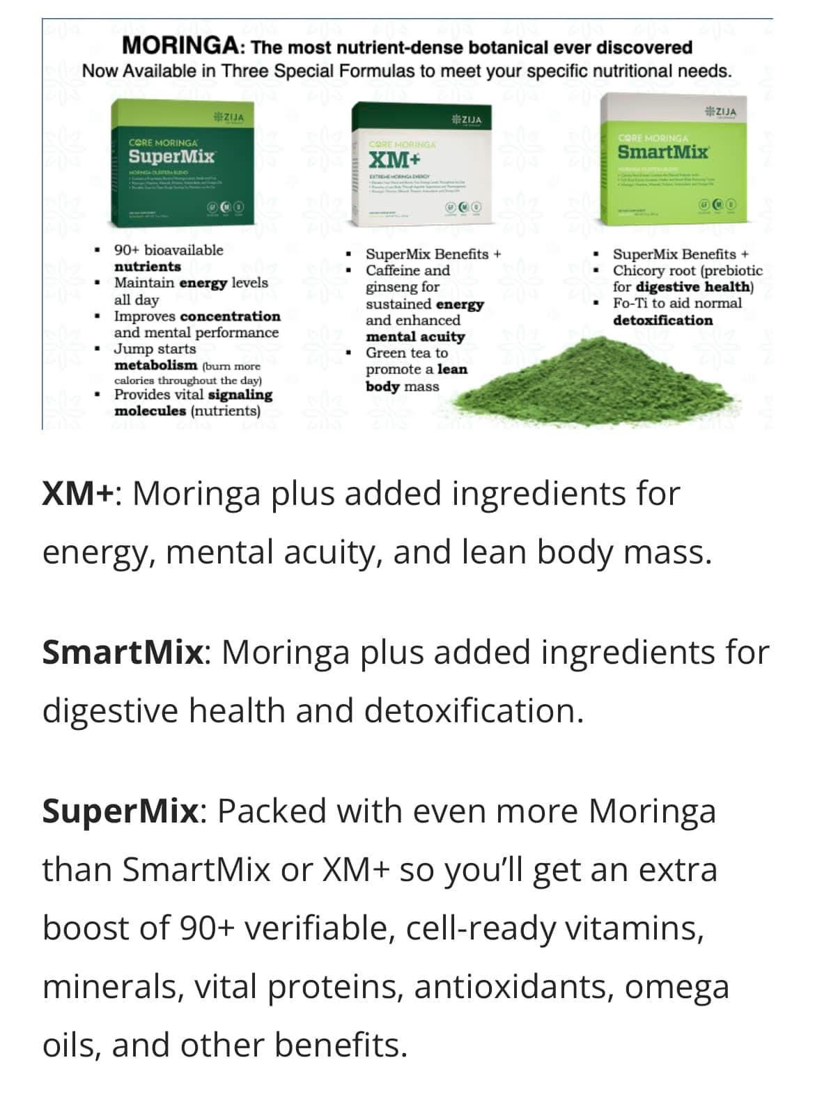 moringa1